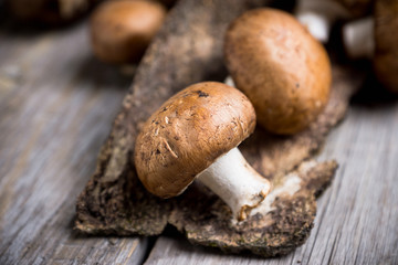 Fresh mushrooms on the rustic wooden background. Selective focus. Shallow depth of field.