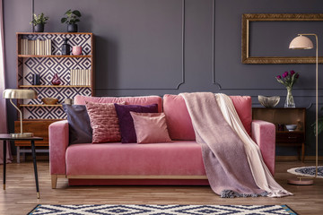 Front view of a pink sofa with pillows and blanket, vintage cupboard in the background in a glamorous  living room interior