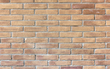 Obraz premium Vintage brick wall