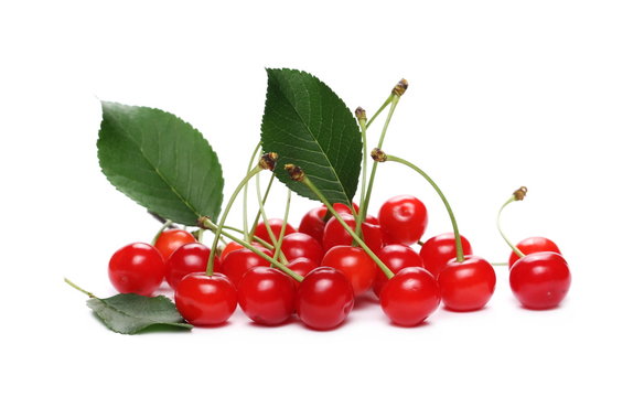 Fresh cherries isolated on white background