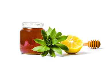 Jar of honey and lemon with houseleek plant isolated