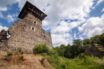 Fototapeta na wymiar Ruins of Castle Nevytske in Transcarpathian region. Main keep tower (donjon)