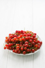 Red currant in tea cup on a white wooden table