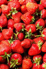 Stack of many fresh strawberries