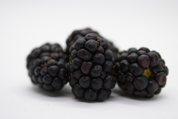 Isolated blackberies