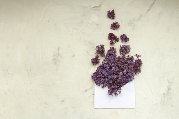 Obraz na płótnie Canvas White envelope and lilac on white stone background. Flat lay, top view