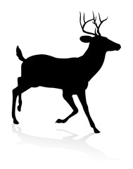Fototapeta premium Deer Animal Silhouette