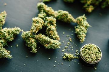 Top view Macro of marijuana with trichomes and crushed weed in a grinder