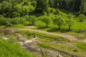 Fototapeta na wymiar green summer forest mountain landscape with river in valley somewhere on country side