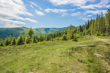 green summer forest mountain landscape somewhere on country side