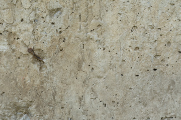 Wall fragment with scratches and cracks