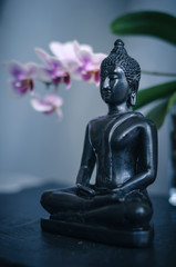 Buddha and Orchid