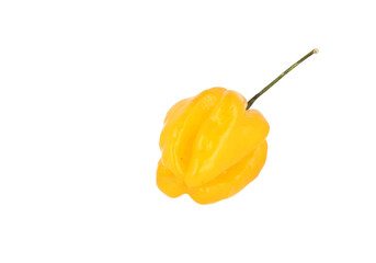 Madame Jeanett Whole