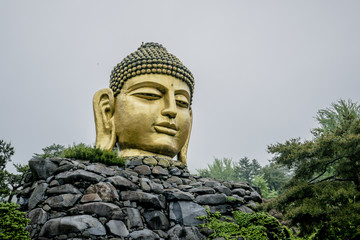 Gold Head Buddha in the stone
