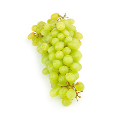 grape green isolated on white background
