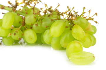 grape green isolated on white background