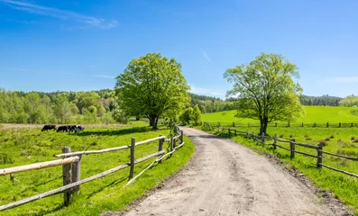 Foto op Plexiglas Plattelandslandschap met landelijke weg en blauwe lucht © alicja neumiler
