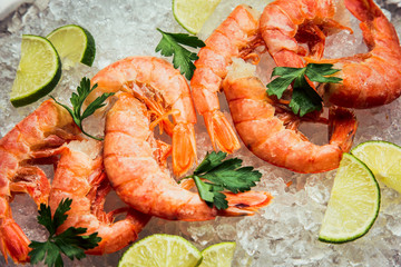 Shrimp with ice with lime and salad on the plate. On wooden background