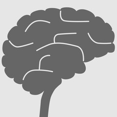 Human brain simplified illustration, intelligence concept