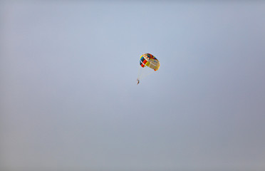 skydiver in the sky
