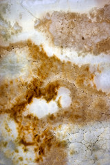 Honey onyx wall panel,  background texture