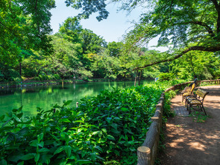住宅街の公園　井の頭公園