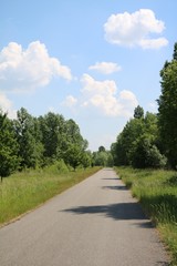Fototapeta na wymiar Path for bikes around the Schladitzer lake near Leipzig, Germany 