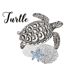 Fototapeta premium Hand drawn sketch style turtle, corals and sea star isolated on white background. Vector illustration.