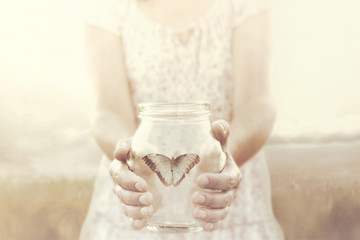 collector imprisons a butterfly in her glass vase