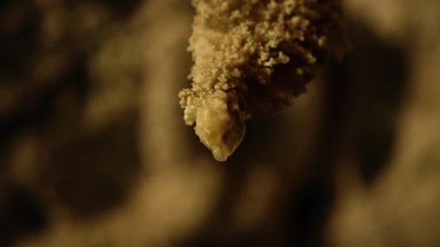 Close up moisture dripping in yellow cave New Zealand