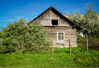 Wooden Rustic old house among the greenery.