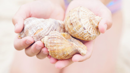 Close up of little girl's hands holding sea shells.