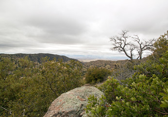 Fototapeta na wymiar Le parc du Chiricahua - Arizona -Etats-Unis