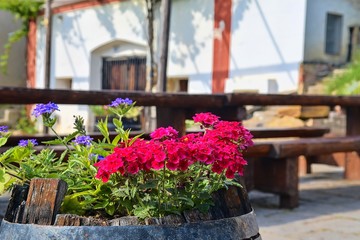 Fototapeta na wymiar Old rustic wine barrel with flowers. Wine background in Europe. Czech Republic, South Moravia