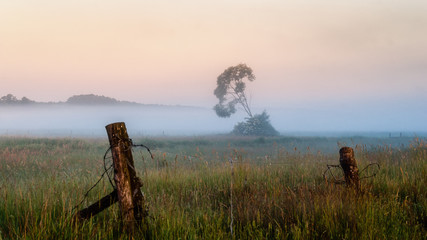 Poranne mgły © podlaski49