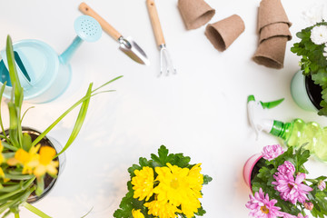 Photo of flowers in pots, watering cans, shovel, rake on empty white background.