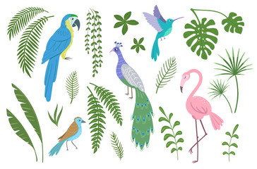 Set of exotic birds and plants. Vector illustration.