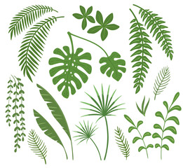 Set of leaves of tropical plants. Vector illustration.