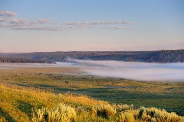 A thin layer of mist covering the valley floor of Hayden Valley around sunrise in Yellowstone...