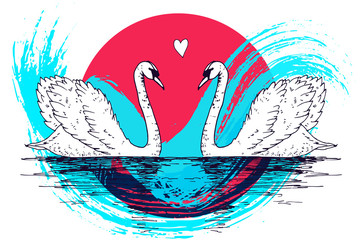 Vector swan couple illustration with watercolor paint splash. Swimming elegant swan birds in love, beautiful wild nature sketch. Royal swan ink outline illustration, hand drawn animal.