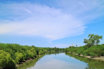 Fototapeta na wymiar Soft focus of beautiful view of tropical forest and the river with reflection of clear blue sky and white cloud in summer time. Nature concept.