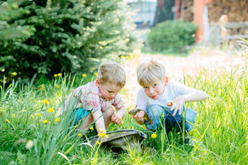 High emotions shot of two excited blond brothers little fishmen enjoying the catch, take out the fishes from fishing net in sunny summer day outdoor. Childhood, friendship and adventure concept.
