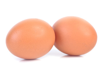 Fresh eggs
