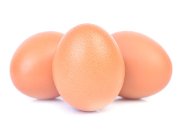 Fresh eggs