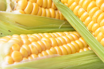 Fresh corn