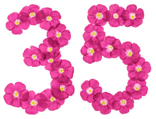 Arabic numeral 35, thirty five, from pink flowers of flax, isolated on white background