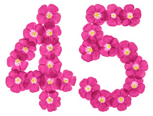 Arabic numeral 45, forty five, from pink flowers of flax, isolated on white background