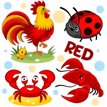 A set of wild and domestic animals and insects of red color for children and design. A picture of a ladybird, a rooster with chicken, crab and shrimp.