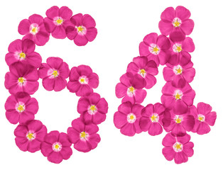 Fototapeta na wymiar Arabic numeral 64, sixty four, from pink flowers of flax, isolated on white background