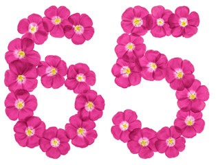 Arabic numeral 65, sixty five, from pink flowers of flax, isolated on white background